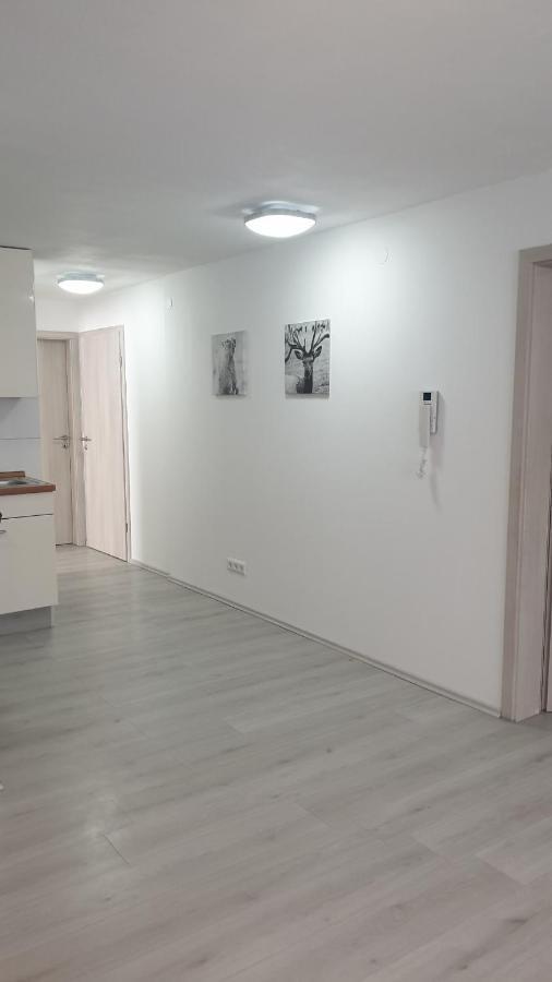 Komfortable Ferienwohnung Waghäusel المظهر الخارجي الصورة